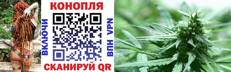 Виды наркотиков купить Наволоки Каннабис  Мефедрон  ОМГ ОМГ рабочий сайт  АМФ  ГАШ  Alpha PVP 