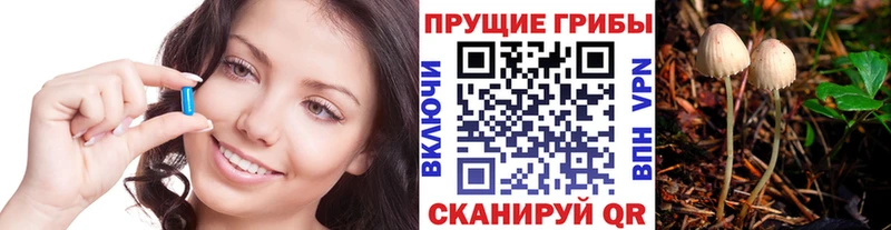 даркнет сайт Наволоки Псилоцибиновые грибы GOLDEN TEACHER